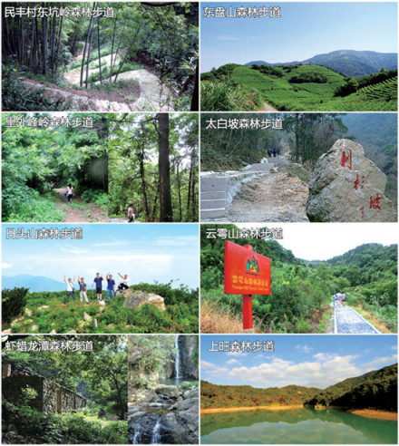 北仑百公里森林步道