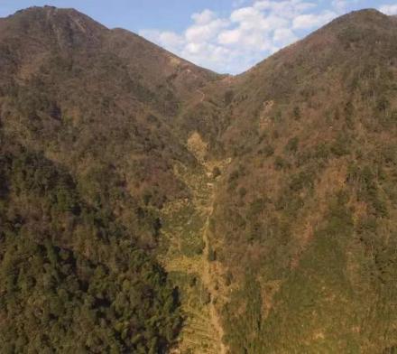 武夷山闽赣古驿道