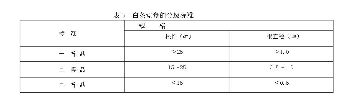 表3白条党参的分级标准