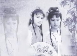 墨雨