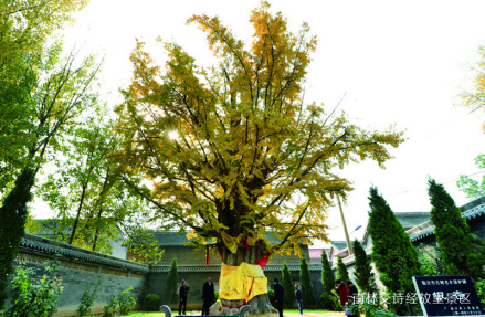 诗经故里田园综合体景区