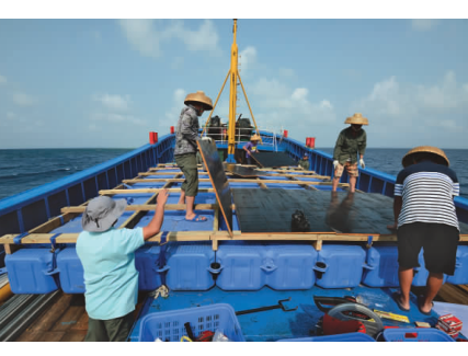 金银岛沉船遗址考古现场