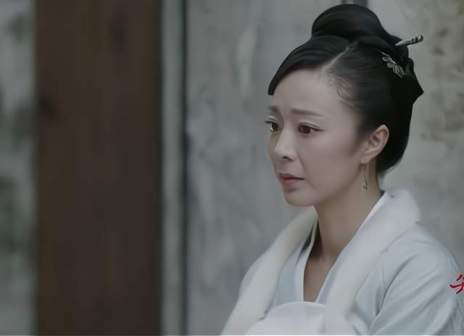 《知否知否应是绿肥红瘦》中饰演卫小娘