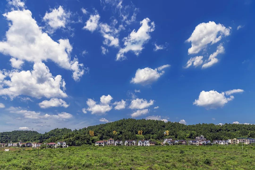 魅力柠海景区