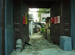 干面胡同(图1)