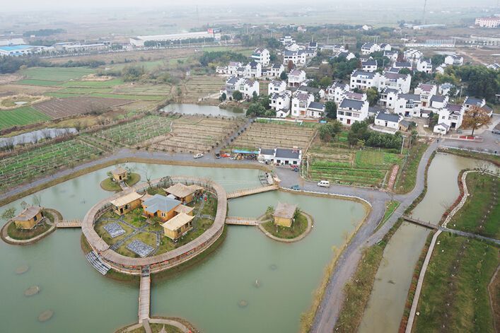 梅渚镇高塘梅园