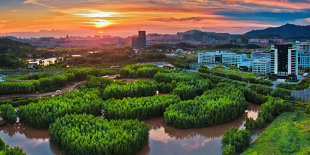大亚湾红树林城市湿地公园中心湿地
