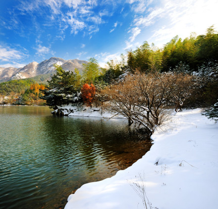 雪中黄柏山