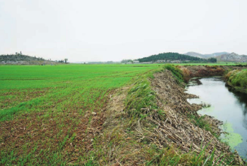 小山口遗址全景图