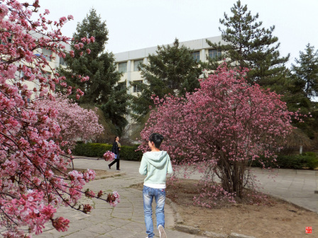 宁夏师范大学老校区校园掠影