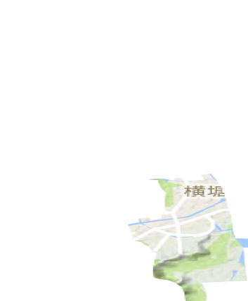 横塘街道地形图