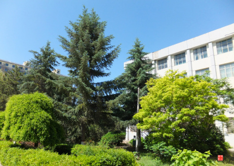 宁夏师范大学老校区校园掠影