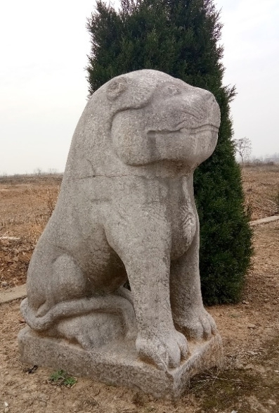 石虎