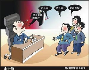 诉讼程序
