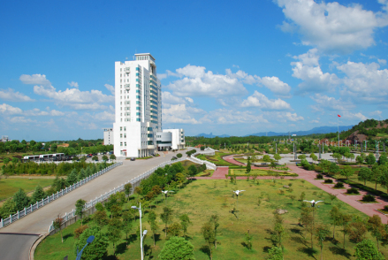 贵溪市政府