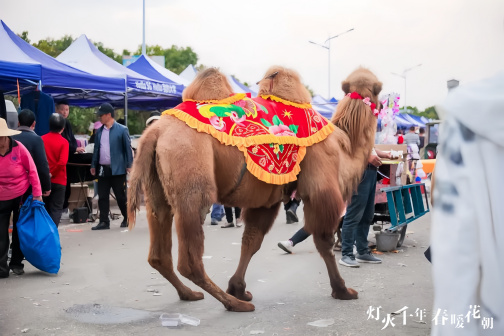 2023年武汉新洲旧街花朝节