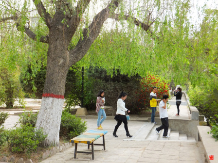 宁夏师范大学老校区校园掠影