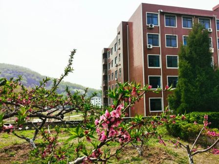东教风情