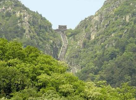 泰山