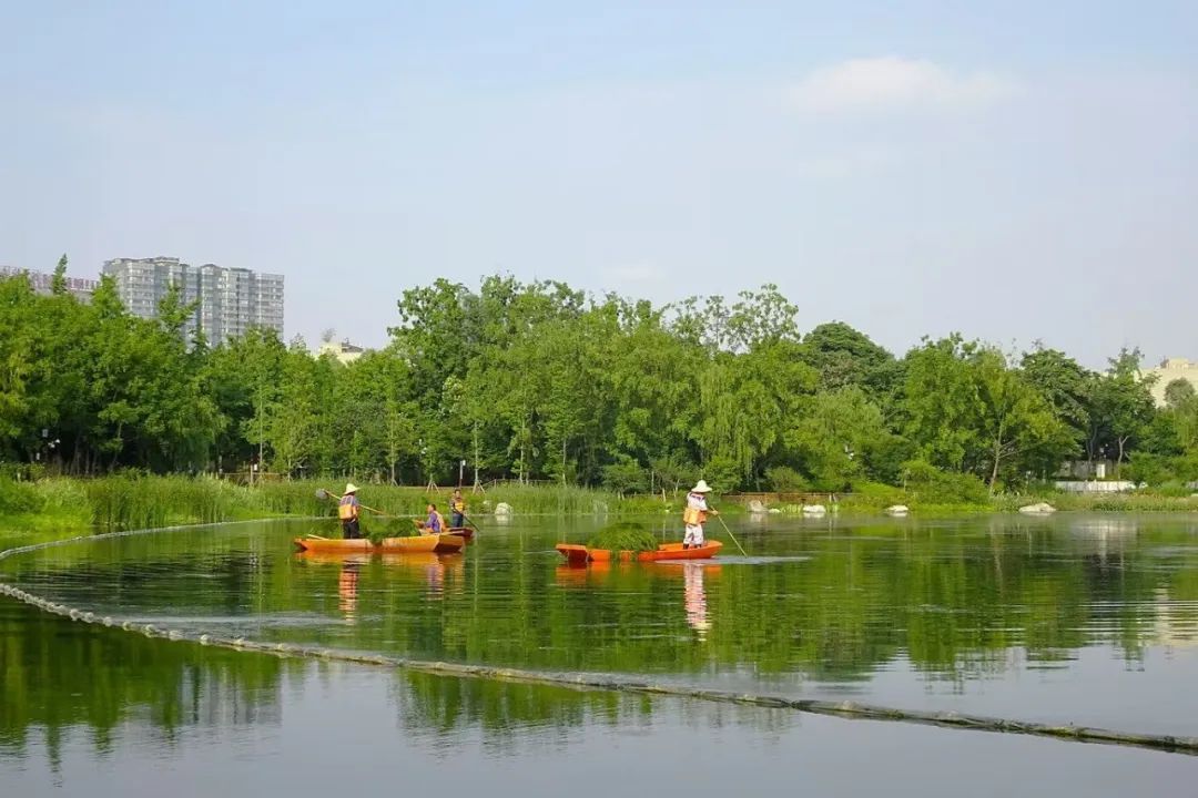 浣花溪公园景色