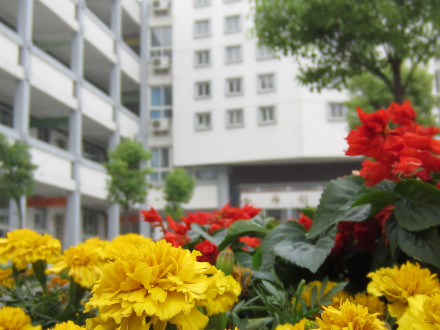 校园风景