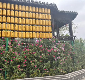 曹州古城-花墙