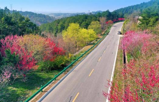 新洲红色旅游公路