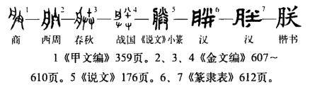 字形演变
