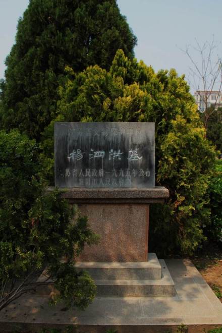 杨泗洪