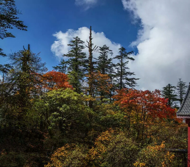 峨眉山秋景