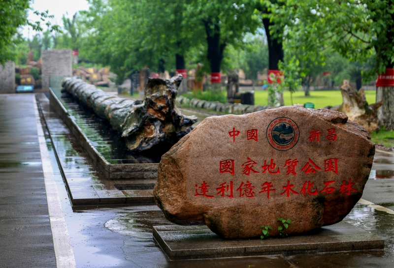 达利丝绸