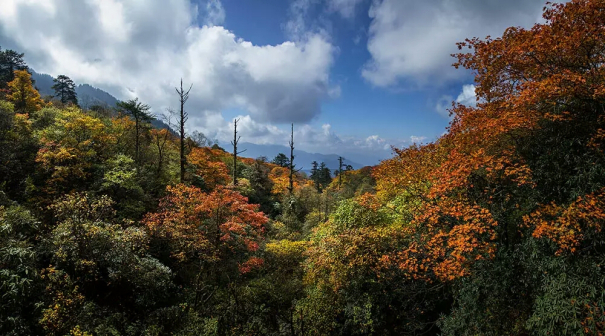 峨眉山秋景