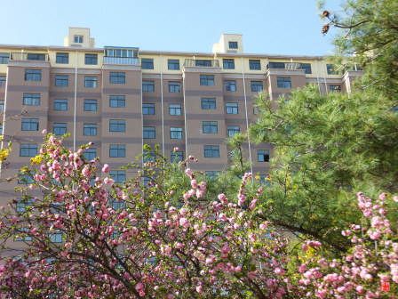 宁夏师范大学老校区校园掠影