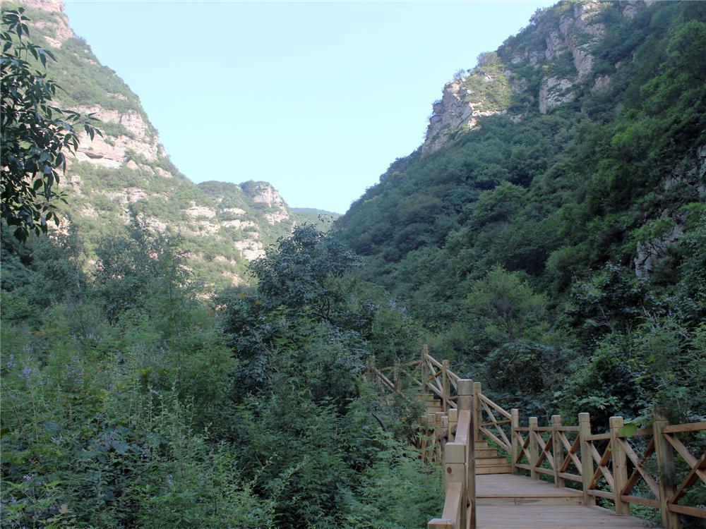 马栏村植被