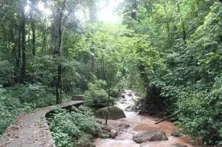 云南太阳河国家森林公园