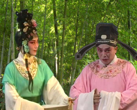 “菊香不是糊涂人”