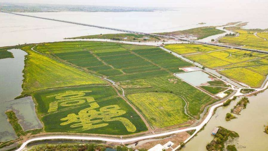 高邮湖滩郊野公园