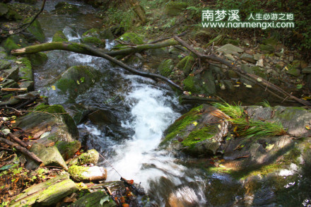森林 瀑布 风景 山水 溪水 古树 南梦溪