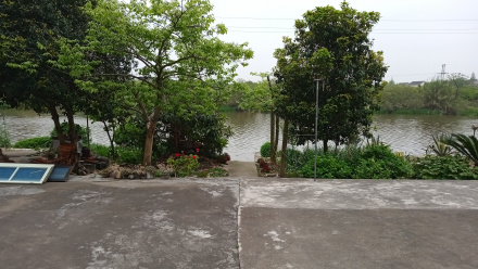渡口原址