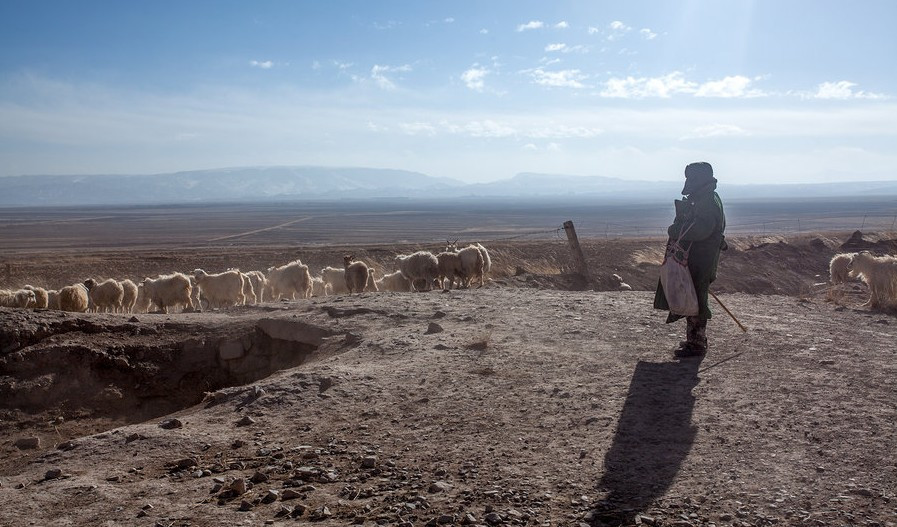焉支山北麓干旱牧区