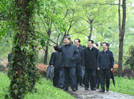 习近平总书记视察西溪国家湿地公园