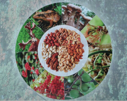 东昌区美食
