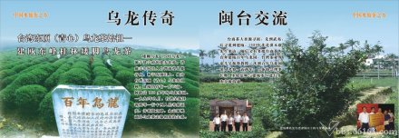 台湾洞顶乌龙、青心乌龙发源地