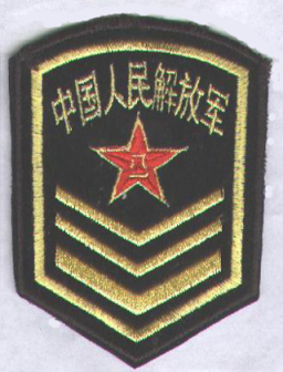 87式仪仗队海军臂章