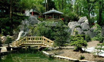 盆景园