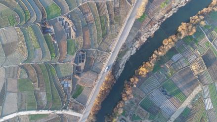 2017年度发掘区地形及位置