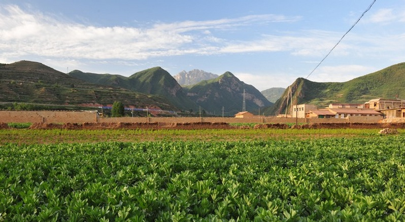 莲花山北麓康乐县内地貌