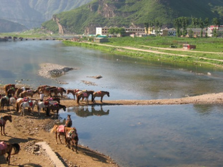 拒马河