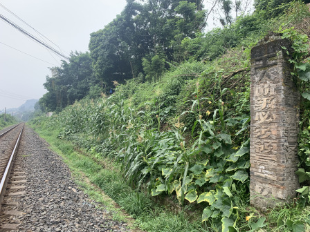线路上的红色基因