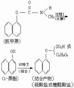 生物转化